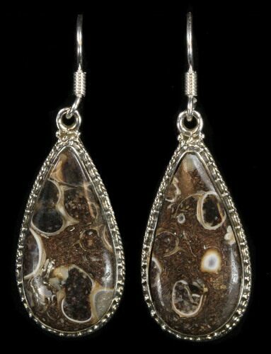 Fossil Turritella (Gastropod) Earrings - Sterling Silver #38120